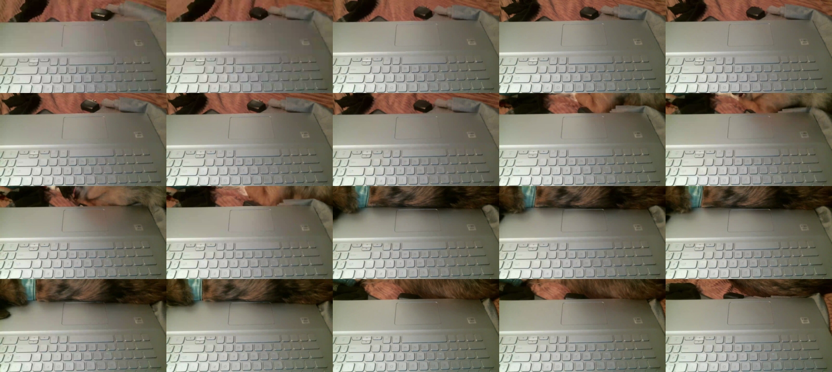 illBeDanned  24-10-2023 Recorded Video love