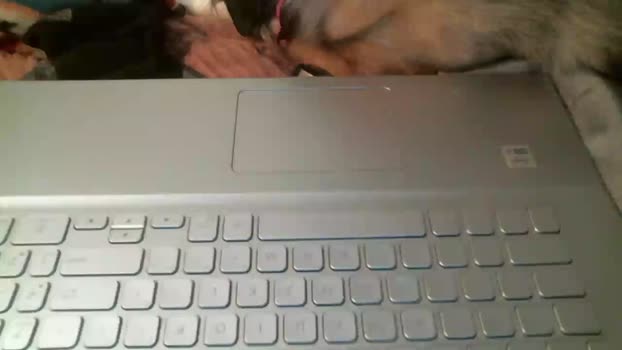 illBeDanned  24-10-2023 Recorded Video love