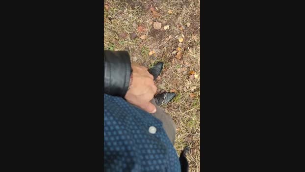 Scarearies  25-10-2023 Recorded Video bigballs
