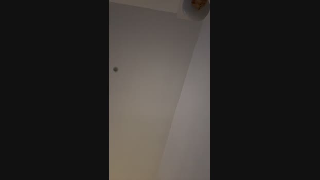 antho314  24-10-2023 Recorded Video play
