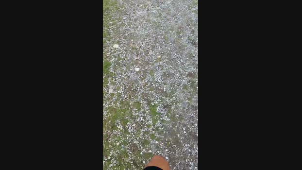 fertavitas  25-10-2023 Recorded Video big