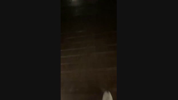 Foxfoxfox070707  25-10-2023 Recorded Video Ass
