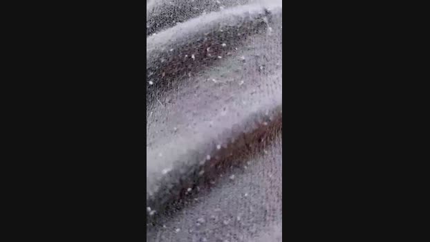 Gigolopa_27