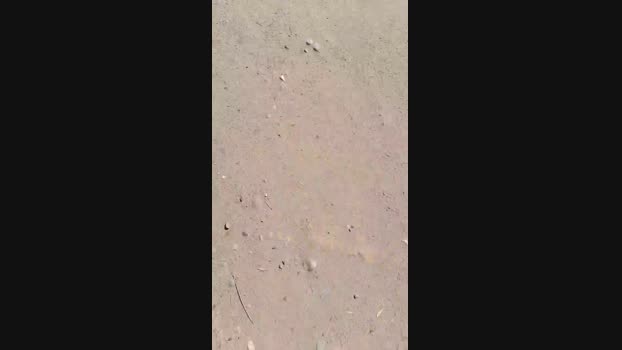 MadToroX  26-10-2023 Recorded Video orgasm