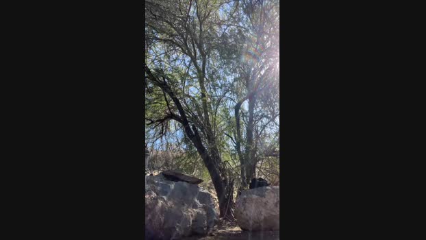 djn73  25-10-2023 Recorded Video moan