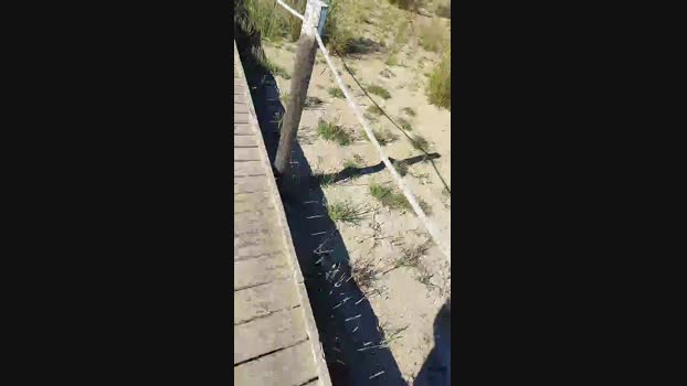 6Q87  27-10-2023 Recorded Video strip