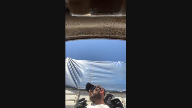 Elpeladoxxx3  26-10-2023 Recorded Video harddick
