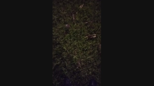 clebsoninaho  27-10-2023 Recorded Video beautiful
