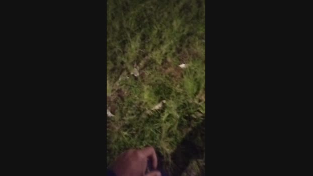 clebsoninaho  27-10-2023 Recorded Video love
