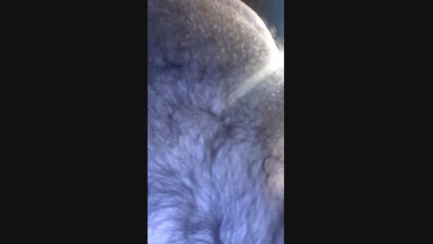chewy1lb  28-10-2023 Recorded Video lick