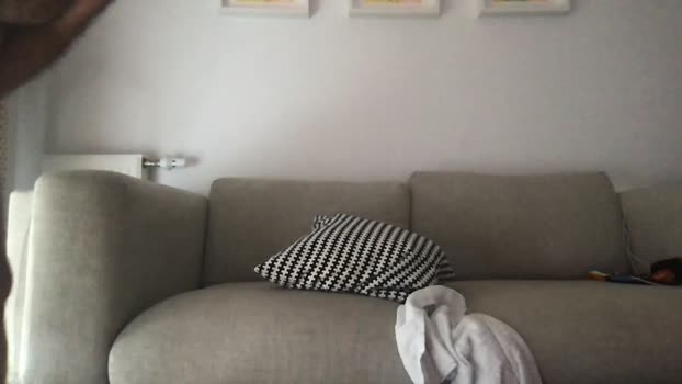 moshco1  28-10-2023 Recorded Video fuckass