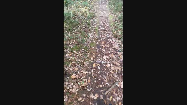 outsideman2  28-10-2023 Recorded Video harddick