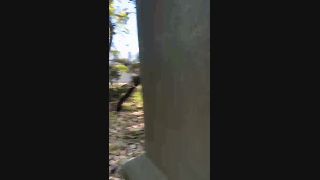 CubaEcuador1  31-10-2023 Recorded Video fuck