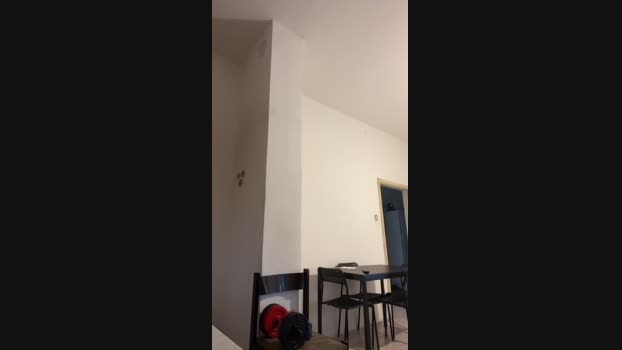 Netoweed  31-10-2023 Recorded Video kink