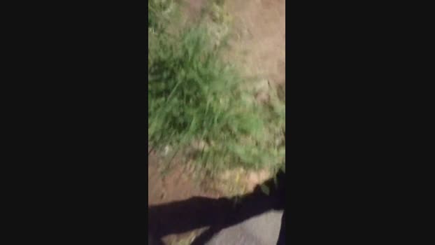 clebsoninaho  31-10-2023 Recorded Video hard