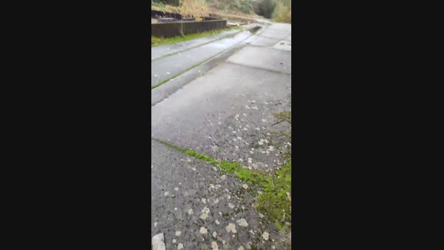 publicexib1  31-10-2023 Recorded Video dirty