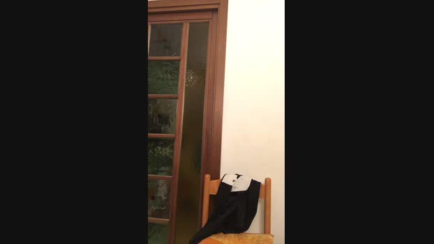 Aptem22  31-10-2023 Recorded Video show