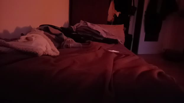 fki99  01-11-2023 Recorded Video beautiful