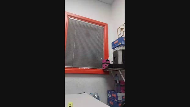 rompecalzoncil2  01-11-2023 Recorded Video show
