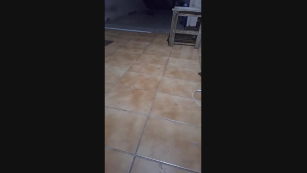 chrisalexandre1  03-11-2023 Recorded Video prettyface