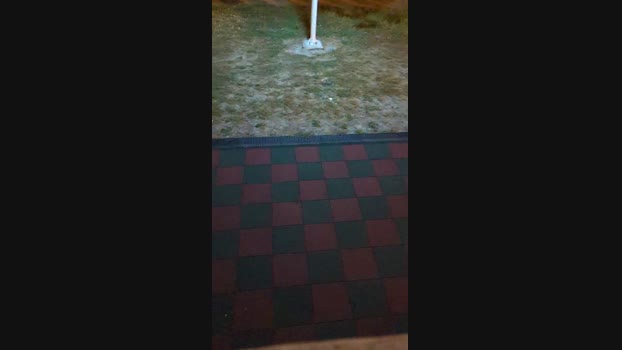 tarcton78  03-11-2023 Recorded Video legs