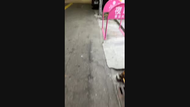 hahacc  04-11-2023 Recorded Video beautiful