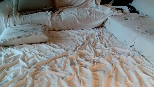 planexhib2  04-11-2023 Recorded Video sex