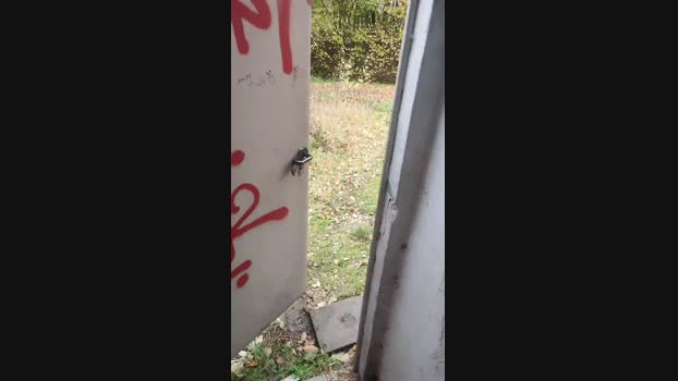 publicexib1  04-11-2023 Recorded Video love