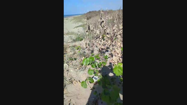 tarcton78  04-11-2023 Recorded Video fuckher