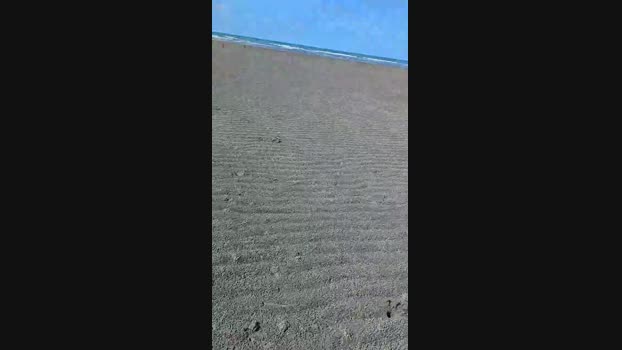 tarcton78  04-11-2023 Recorded Video amateur