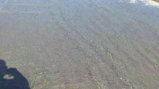 tarcton78  04-11-2023 Recorded Video ass