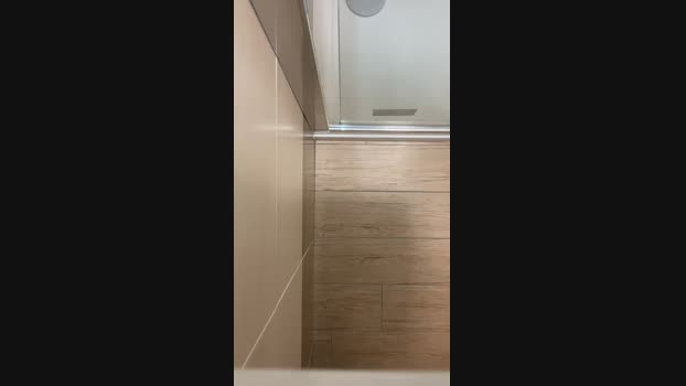 Pispol8  05-11-2023 Recorded Video toy