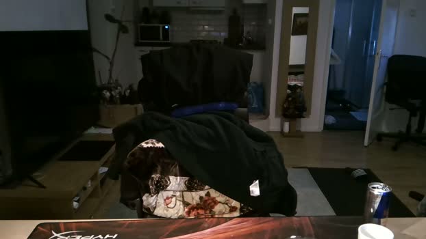 mihaimichael  04-11-2023 Recorded Video fuckhard