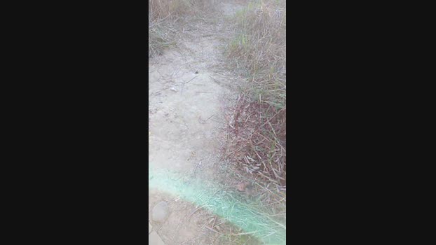 tarcton78  05-11-2023 Recorded Video gag