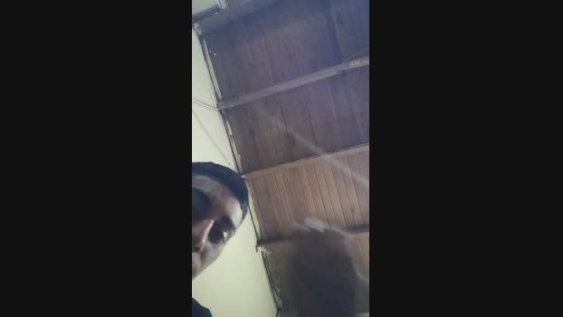 Tattoolife  06-11-2023 Recorded Video orgasm