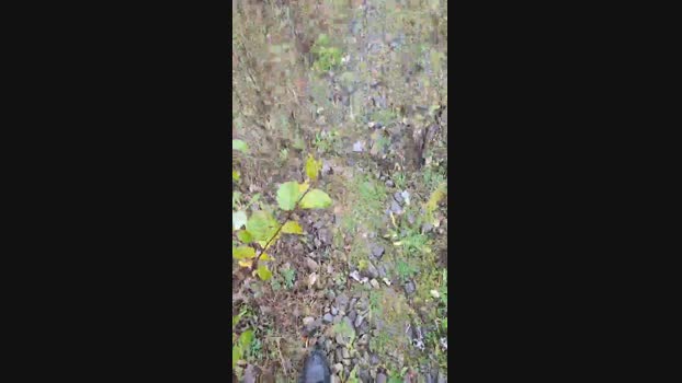 publicexib1  06-11-2023 Recorded Video fingering