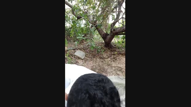 vilaro_0  05-11-2023 Recorded Video amateur