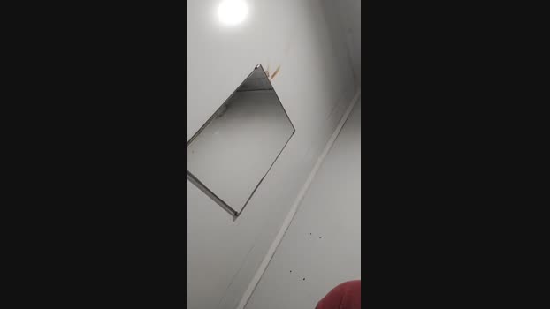Niquitoh  07-11-2023 Recorded Video sweet
