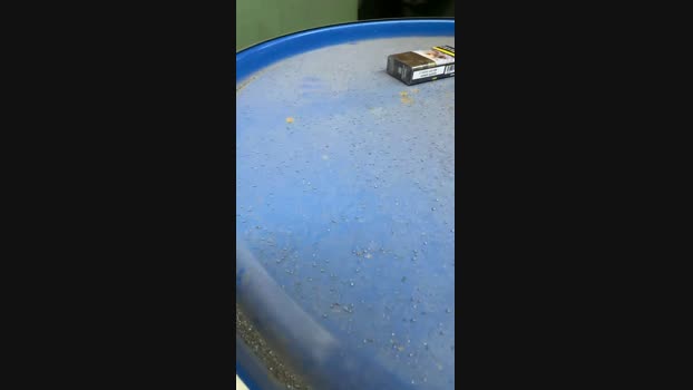 Pinko19  07-11-2023 Recorded Video gay