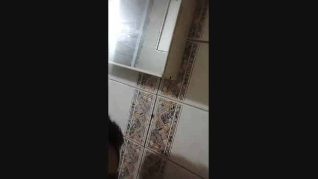 roberto2793