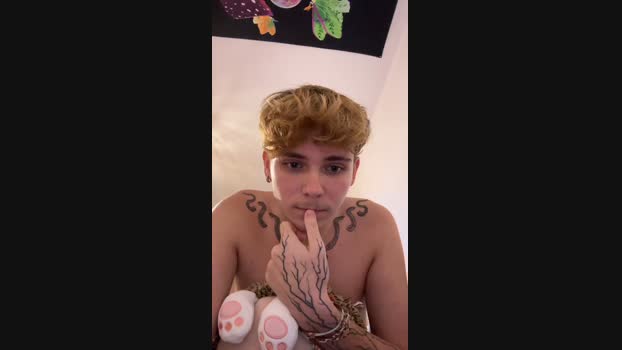 kevinlepassif  07-11-2023 Recorded Video strip