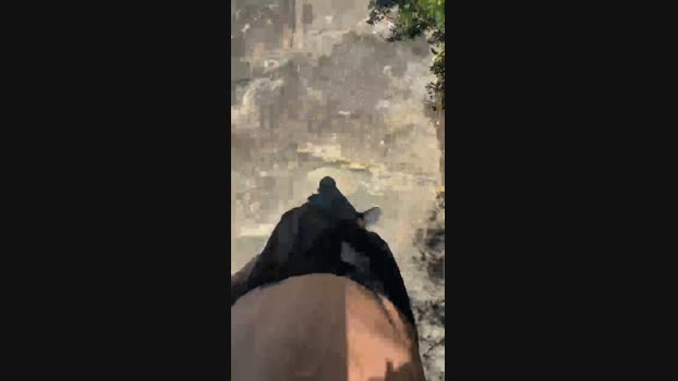recoblue22cm  08-11-2023 Recorded Video fuckass
