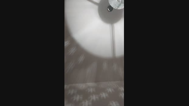 Mendy0802738  09-11-2023 Recorded Video analtoy