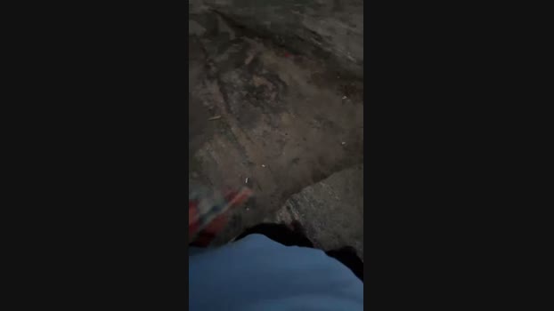 recoblue22cm  08-11-2023 Recorded Video skinny