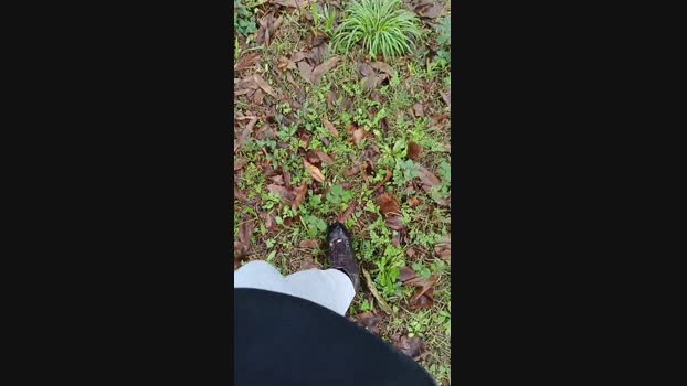 MRCS234  10-11-2023 Recorded Video harddick