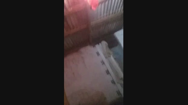 ogatoajato  10-11-2023 Recorded Video analsex