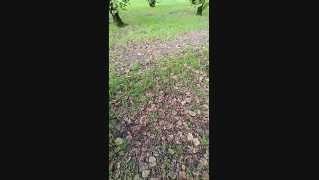 MRCS234  11-11-2023 Recorded Video cute