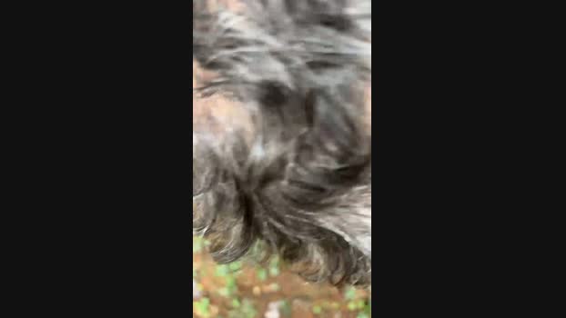 500cazzi  12-11-2023 Recorded Video big
