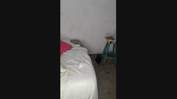 catire85  12-11-2023 Recorded Video jerkoff