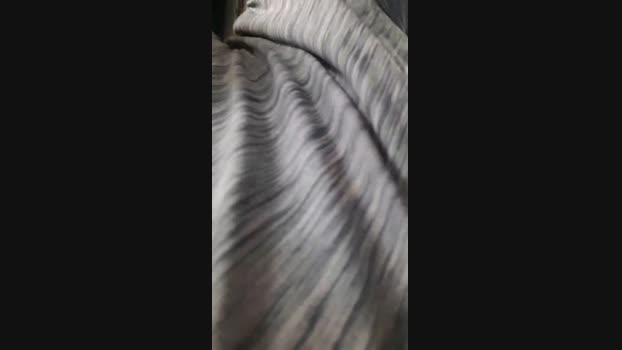 menegues  12-11-2023 Recorded Video big